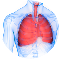 tuberculose